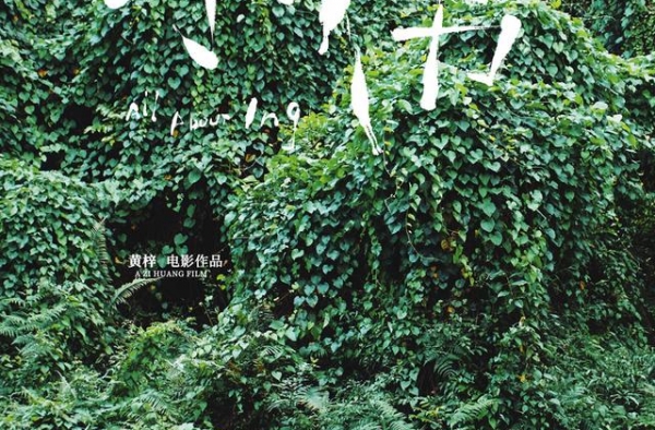 《小伟》：癌症电影的别样打开方式