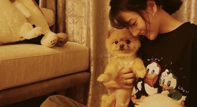 宋祖儿晒生活近照 双手抱萌犬少女感满格